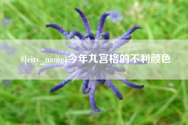 漳州今年九宫格的不利颜色
