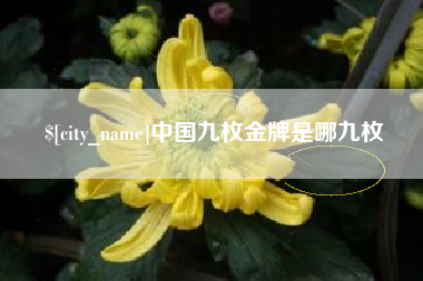 漳州中国九枚金牌是哪九枚