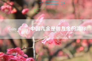 漳州中国九金是哪九金的简称
