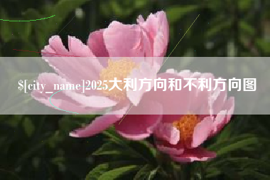 漳州2025大利方向和不利方向图