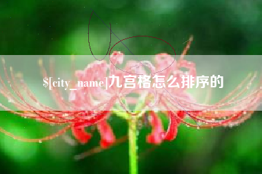 漳州九宫格怎么排序的