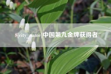 漳州中国第九金牌获得者