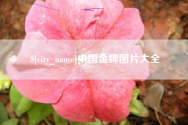 漳州中国金牌图片大全