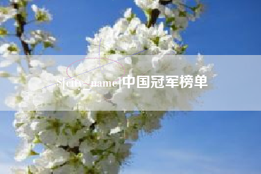 漳州中国冠军榜单