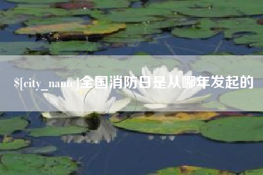 漳州全国消防日是从哪年发起的