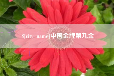 漳州中国金牌第九金