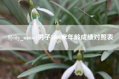 漳州男子5000米年龄成绩对照表