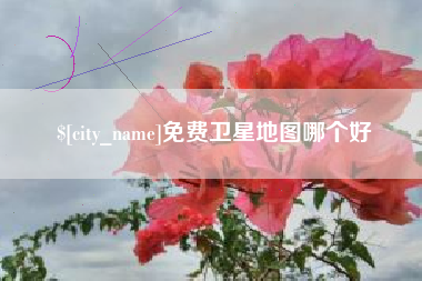 漳州免费卫星地图哪个好