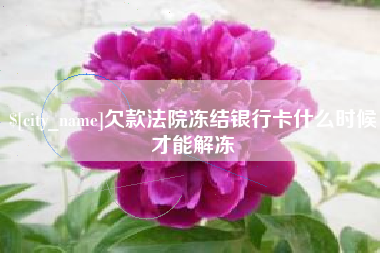 漳州欠款法院冻结银行卡什么时候才能解冻
