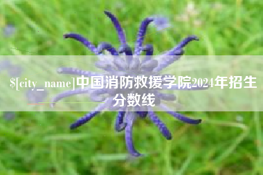 漳州中国消防救援学院2024年招生分数线