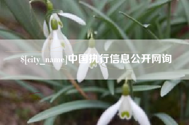 漳州中国执行信息公开网询