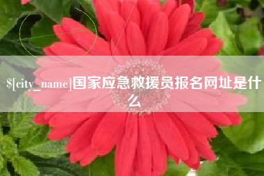 漳州国家应急救援员报名网址是什么