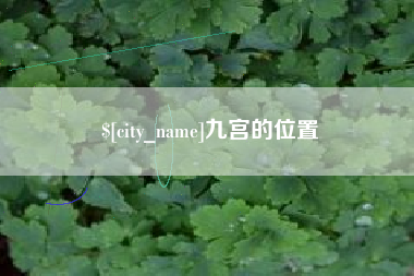 漳州九宫的位置