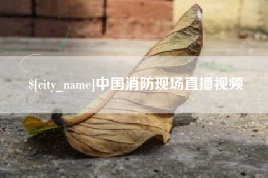 漳州中国消防现场直播视频