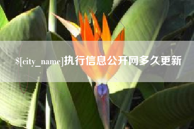 漳州执行信息公开网多久更新