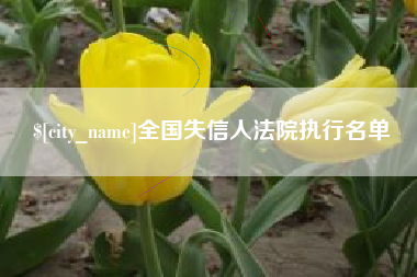 漳州全国失信人法院执行名单