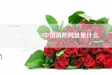 漳州中国消防网址是什么