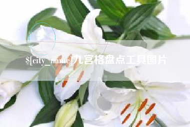 漳州九宫格盘点工具图片