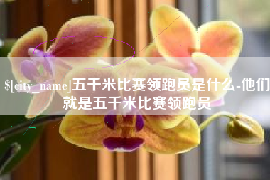漳州五千米比赛领跑员是什么-他们就是五千米比赛领跑员