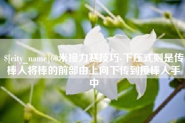 漳州60米接力赛技巧-下压式则是传棒人将棒的前部由上向下传到接棒人手中