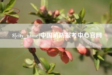 漳州中国消防报考中心官网