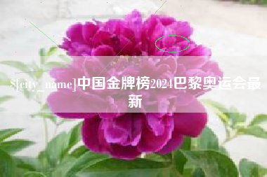 漳州中国金牌榜2024巴黎奥运会最新