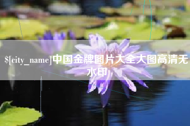 漳州中国金牌图片大全大图高清无水印