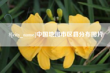 漳州中国地图市区县分布图片