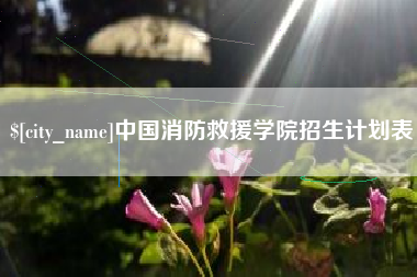 漳州中国消防救援学院招生计划表