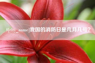漳州我国的消防日是几月几号？