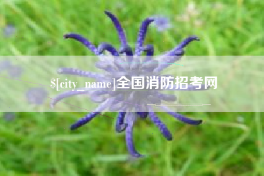 漳州全国消防招考网