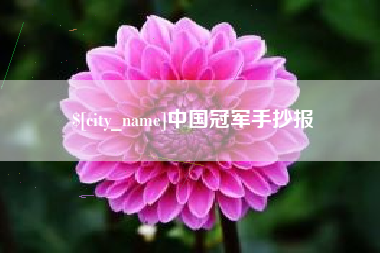 漳州中国冠军手抄报
