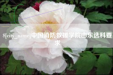 漳州中国消防救援学院山东选科要求