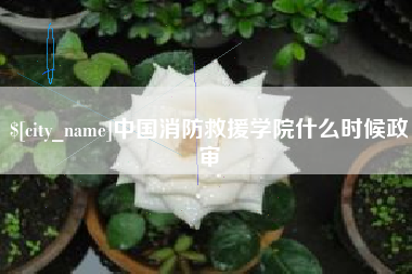 漳州中国消防救援学院什么时候政审