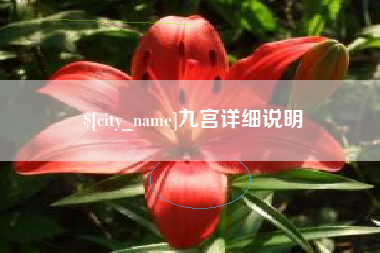 漳州九宫详细说明
