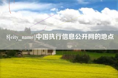 漳州中国执行信息公开网的地点
