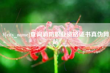 漳州查询消防职业资格证书真伪网站