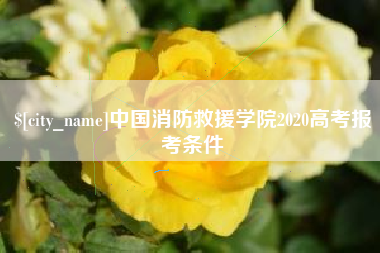 漳州中国消防救援学院2020高考报考条件