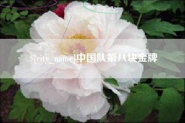 漳州中国队第八块金牌