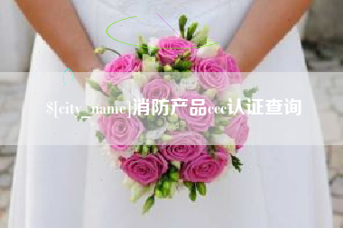 漳州消防产品ccc认证查询