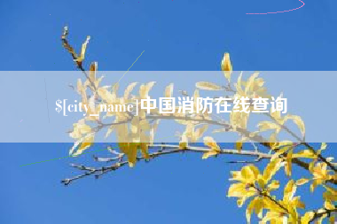 漳州中国消防在线查询