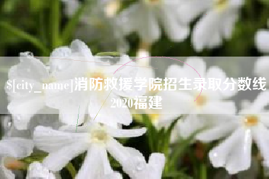漳州消防救援学院招生录取分数线2020福建