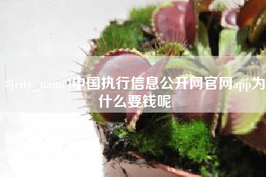 漳州中国执行信息公开网官网app为什么要钱呢