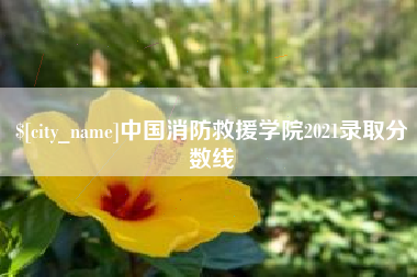 漳州中国消防救援学院2021录取分数线