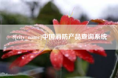 漳州中国消防产品查询系统