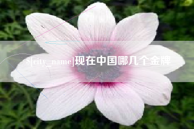 漳州现在中国哪几个金牌