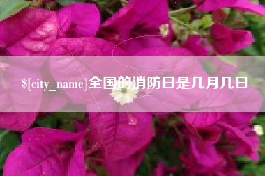 漳州全国的消防日是几月几日