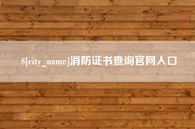 漳州消防证书查询官网入口