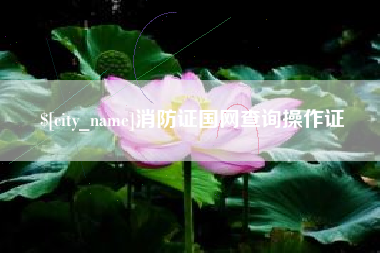 漳州消防证国网查询操作证