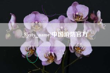 漳州中国消防官方